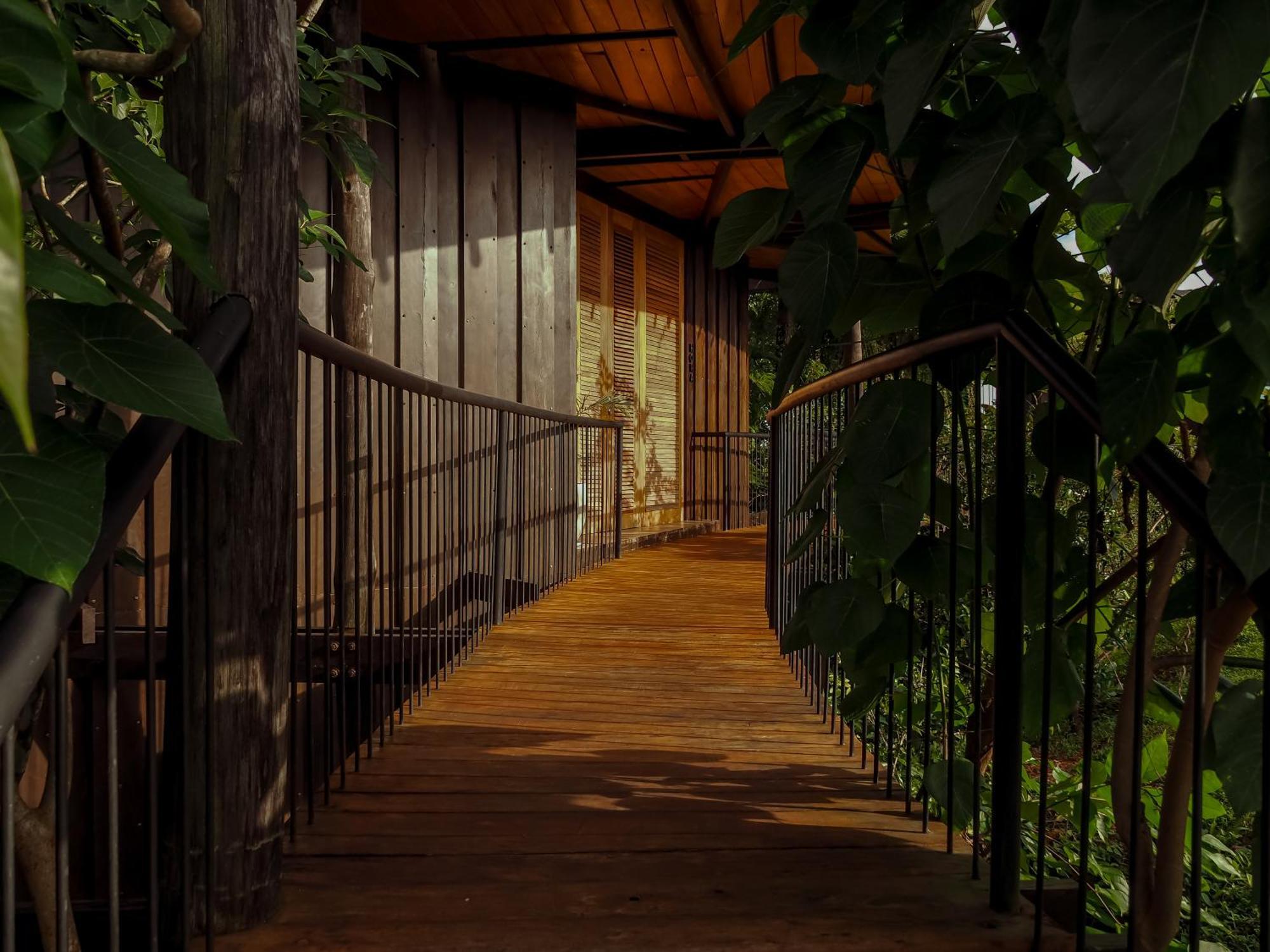 ホテル Trebartha East The Round House アハンガマ エクステリア 写真